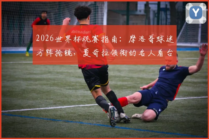 2026世界杯观赛指南：摩洛哥球迷方阵抢镜，夏奇拉领衔的名人看台助威攻略